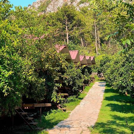 Olympos Camlik Pension Bagian luar foto