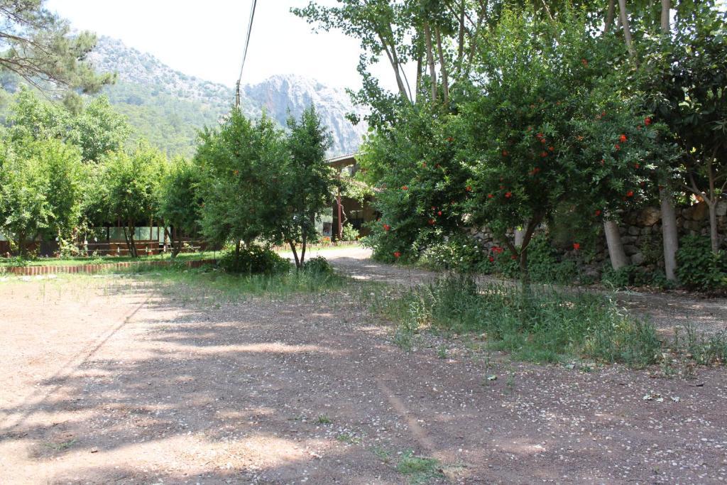Olympos Camlik Pension Bagian luar foto