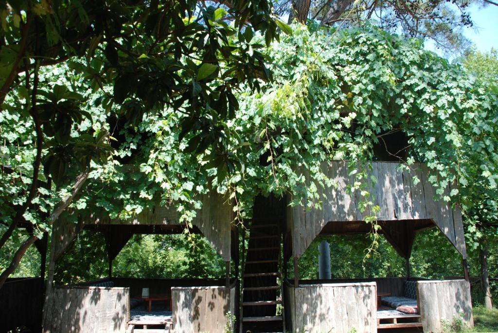 Olympos Camlik Pension Bagian luar foto