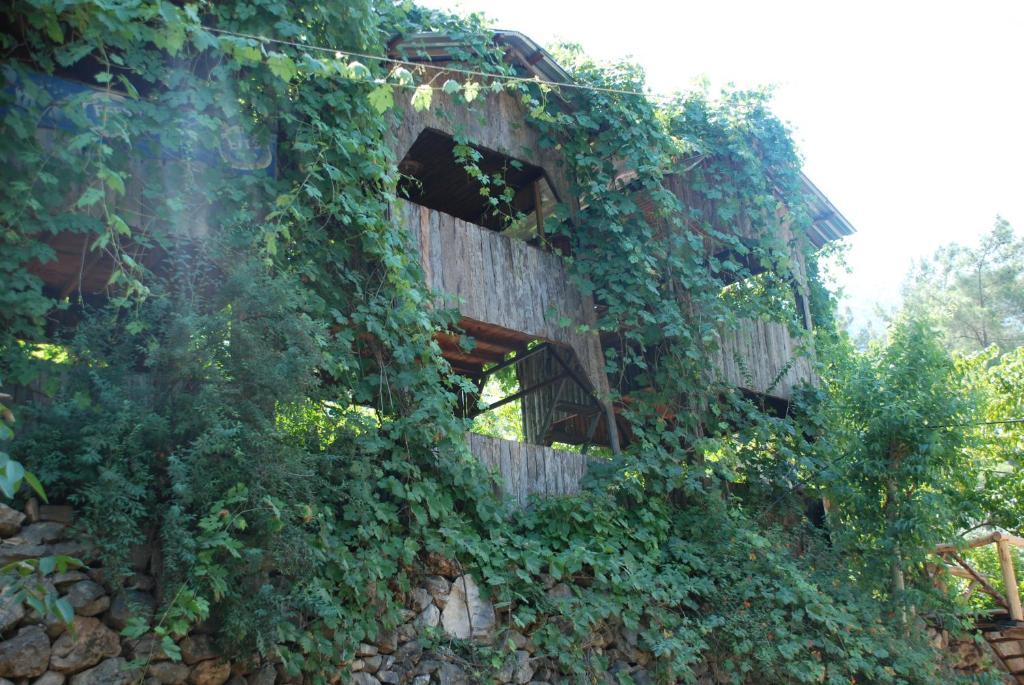 Olympos Camlik Pension Bagian luar foto
